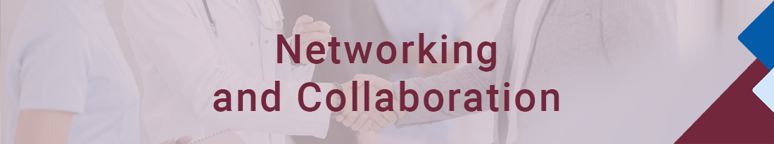 Networking and Collaboration 